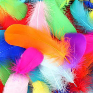 UKT_accessories_AssortedFeathers